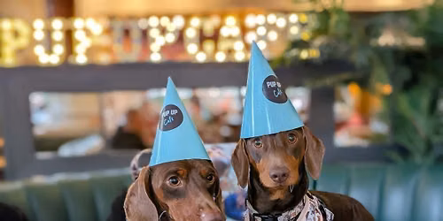 London - Dachshund Pup Up Cafe \ud83c\udf2d