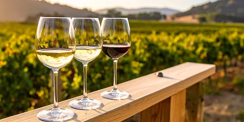 Uncorked Italian Wines for Summer