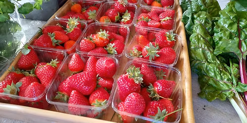 June (26th) Food Market and Crafts