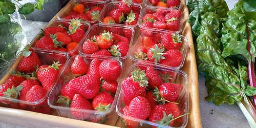June (26th) Food Market and Crafts