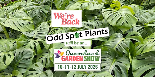 Odd Spot @ Qld Garden Show