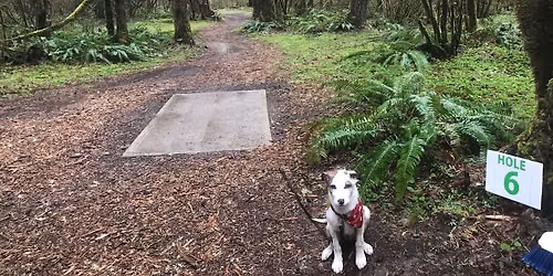 Practice Night at Oregon Disc Golf
