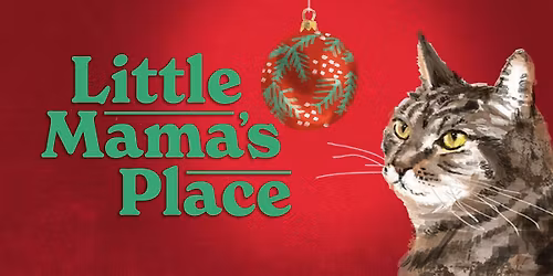 Little Mama's Place (Stand Up Comedy)