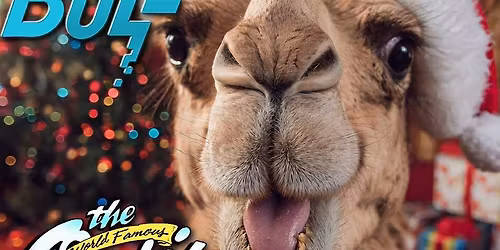 Contact Buzz at Oasis!