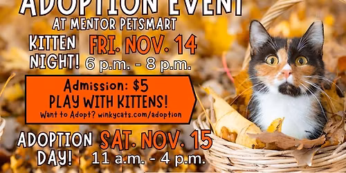 Winky Cats Kitten Adoption Event Nov. 14 & 15 at Mentor Petsmart