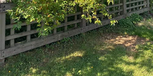 Gardening with the Seasons: Summer (in-person)