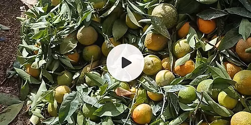 \u062c\u0648\u0644\u0629 \u0641\u064a \u0633\u064a\u062f\u064a \u0628\u0646\u0648\u0631