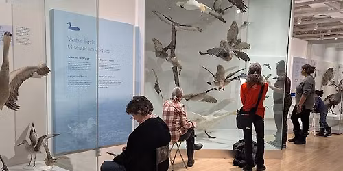 Evening at the Museum of Nature -- during USk Week!