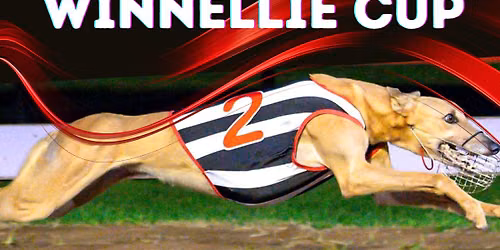 Winnellie Cup
