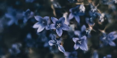 Finding Meaning In Life's Difficulties (Free event)