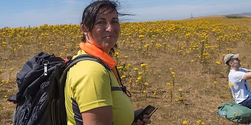 Glynde to Seaford Walk - Sat 01 Aug 2026