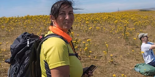 Glynde to Seaford Walk - Sat 01 Aug 2026