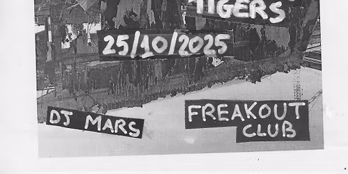 BOLOTOMY: The Outcasts, SmallTown Tigers | Freakout Club