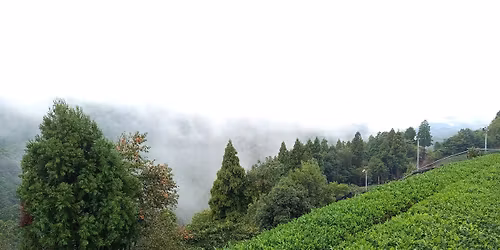 DEGUSTACE JAPONSKO #5 - KOUCHA