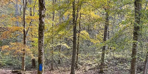 Clark County Trail Ride