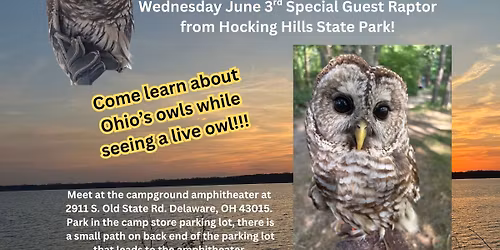 Wildlife Wednesdays at Alum Creek State Park: Ohio's Owls!