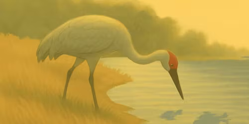 Book Signing with Local Author Angie Jackson at Pottery Barn