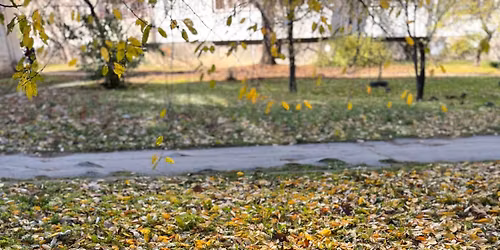 \u0433\u0440\u0443\u043f\u0430 \u0437\u0430 \u043f\u0440\u0430\u043a\u0442\u0438\u043a\u0430 \u043f\u043e \u043c\u0435\u0442\u043e\u0434\u0430 \u0421\u0435\u043c\u0435\u0439\u043d\u0438 \u043a\u043e\u043d\u0441\u0442\u0435\u043b\u0430\u0446\u0438\u0438 \u0441 \u0418\u0440\u0438\u043d\u0430 \u0412\u0435\u043b\u0435\u0432\u0430