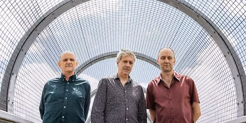 Foggy Notion: The Necks