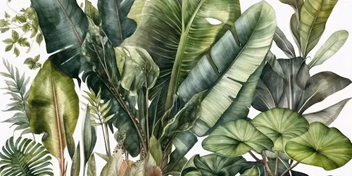 Taster session - watercolour houseplants