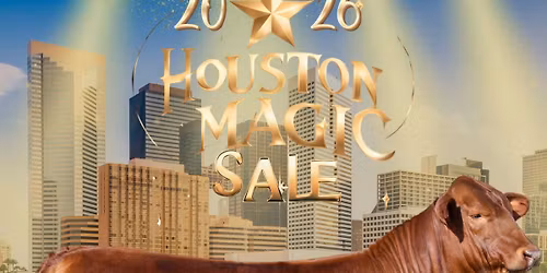 HOUSTON MAGIC SALE
