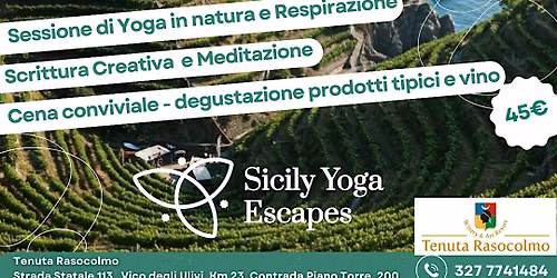 Yoga al Tramonto in Vigneto con Cena Conviviale