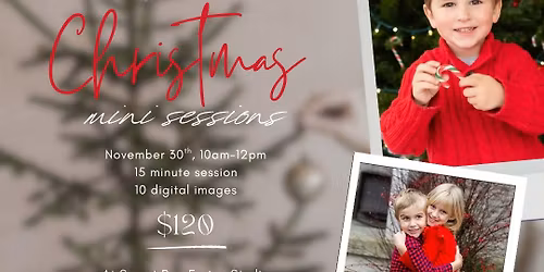 \ud83c\udf84 Christmas Mini Session \ud83c\udf84