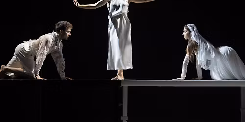 BACHANTKI \/ BAKCHAI | chor. Daniela Kom\u0119dera, re\u017c. Daria Kopiec | Teatr AST w Krakowie