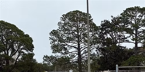 Fort Walton Beach Tennis Center Court Renovation Celebration