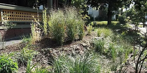 Climate Resilience: In Your Yard & Beyond