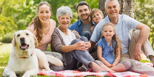 Falling Leaves, Clear Futures: Estate Planning Essentials