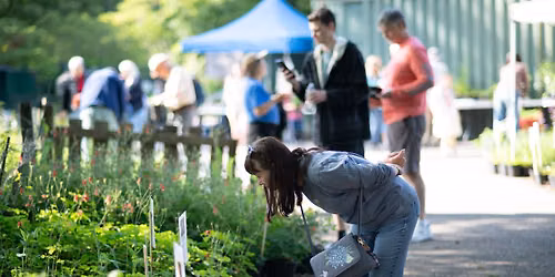 Fall Native Plant Sale