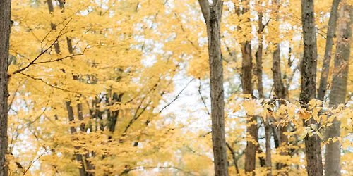 Alex and Tyler\u2019s Jack and Jill 