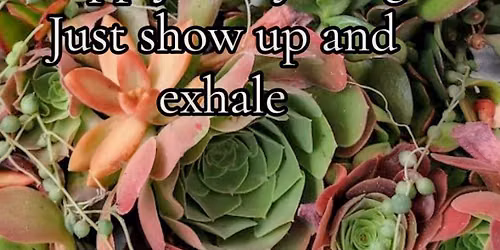 Plant and Sip with the Stef