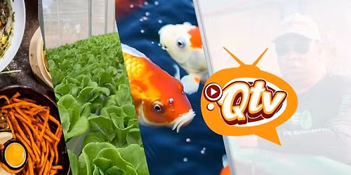 Wapol Haus 3on3 Basketball Tournament