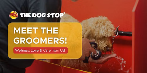 Meet the Groomers
