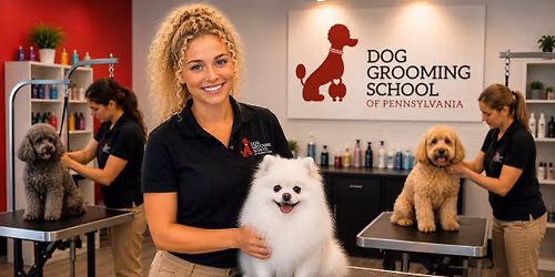 New Career in 4 Weeks | August 3\u201328 Dog Groomer Training \u2702\ufe0f\ud83d\udc36