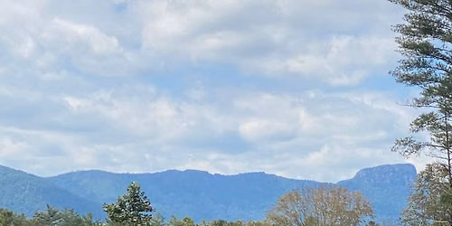 Preserving Native Plants in the Foothills of NC