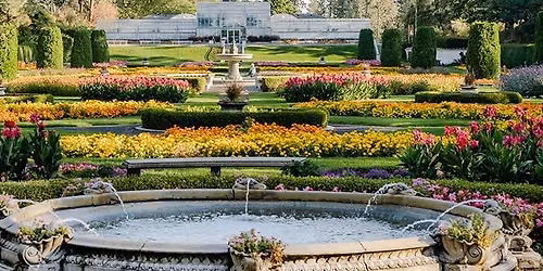 Fall Plant Sale