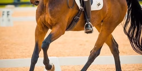 Barbara Strawson Dressage Clinic