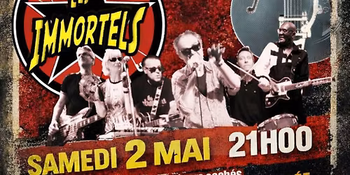 D-ZINGUE et LES IMMORTELS en concert 