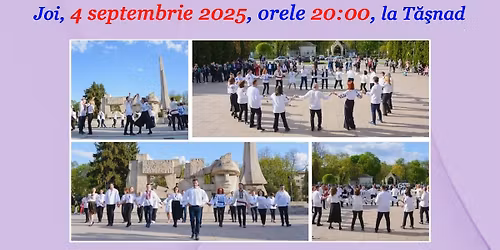 Grupe noi de \u00eencep\u0103tori