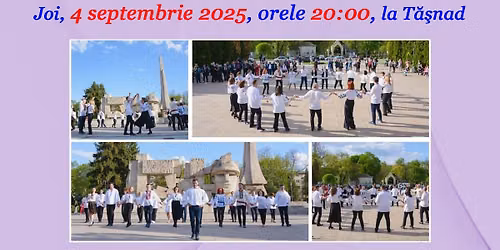 Grupe noi de \u00eencep\u0103tori