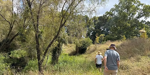 Planting to protect Matakana River banks