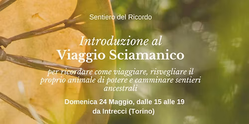 Introduzione al Viaggio Sciamanico