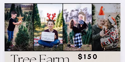 Tree Farm Mini Sessions