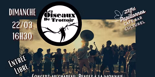 Concert avec Les Oiseaux de Trottoir