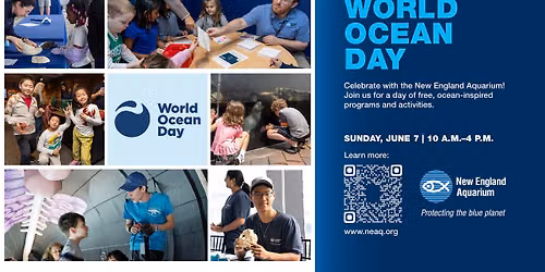World Ocean Day at the Aquarium! 
