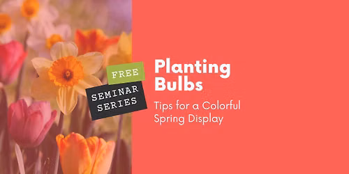 Seminar | Planting Bulbs: Tips for a Colorful Spring Display