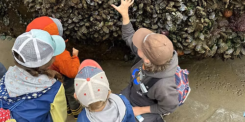 Geology and Tidepool Excursion at Cape Falcon Marine Reserve